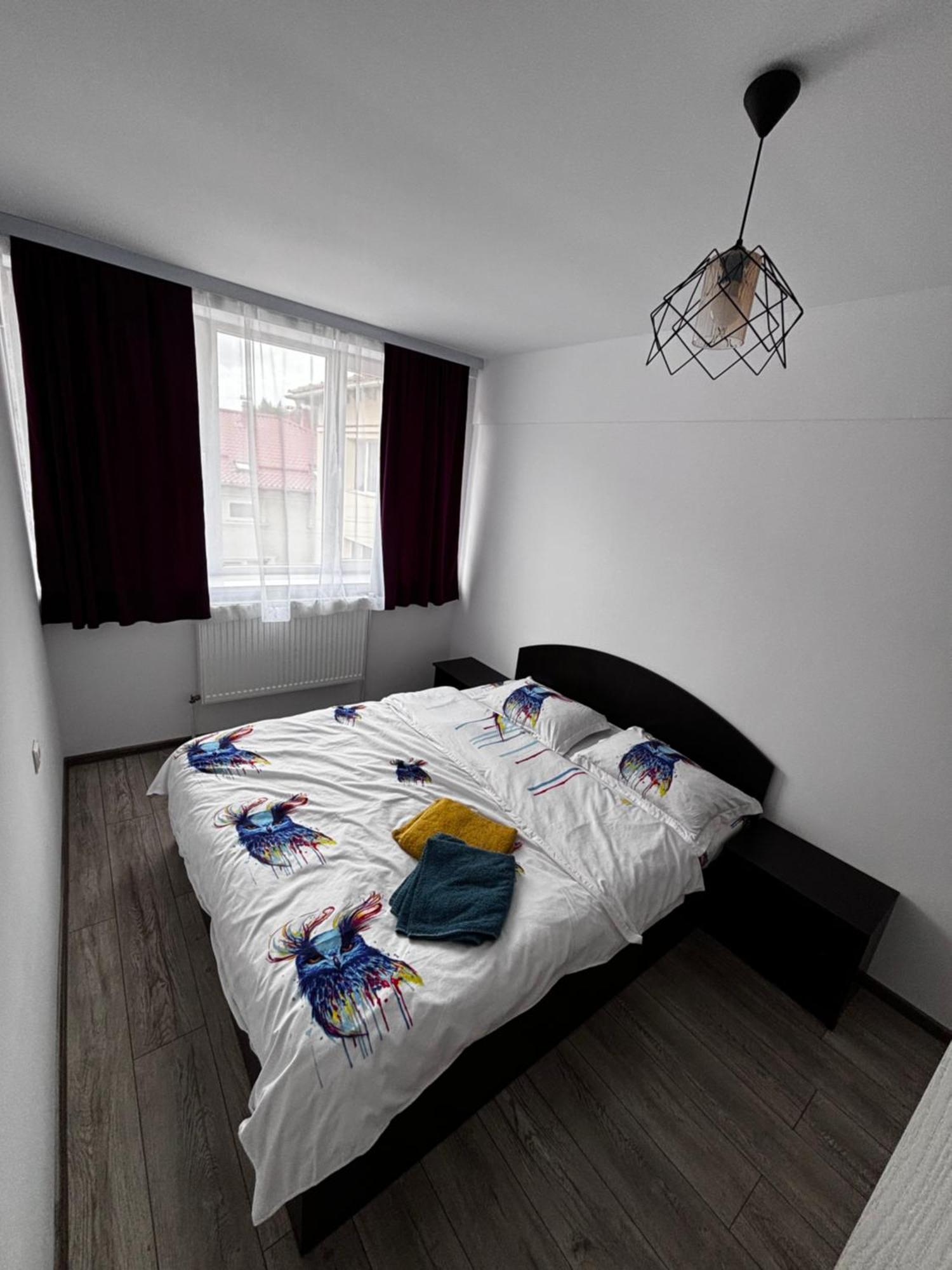 Ferienwohnung Apartament Ultracentral Vatra Dornei Exterior foto